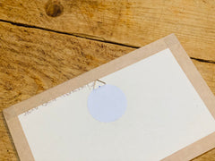 Dessin Jardin du Luxembourg (sous verre)