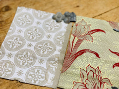 Papiers peints anciens (A6)