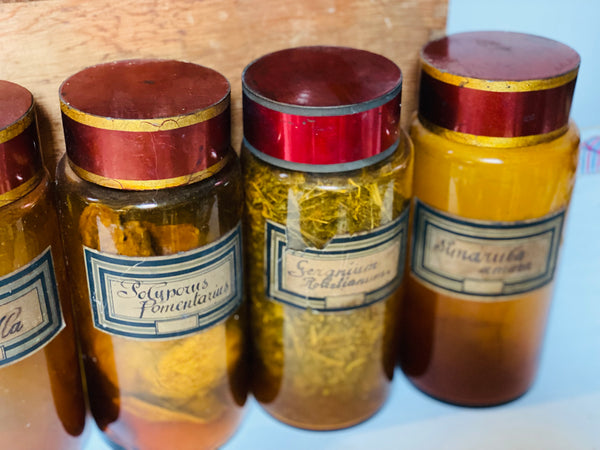 Lot 11 pots de pharmacie fin XIXème/ début XXème siècle